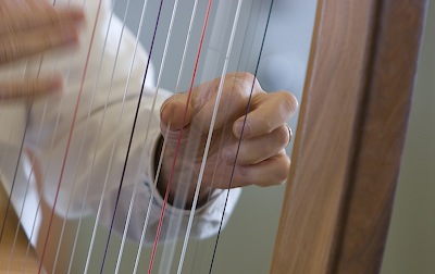 David Michael playing Harp
