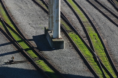 I'll meet you beside the railroad tracks