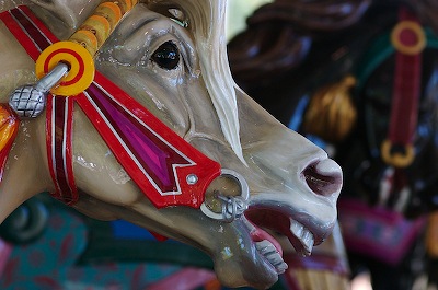 Carousel Horse from Woodland Park Zoo