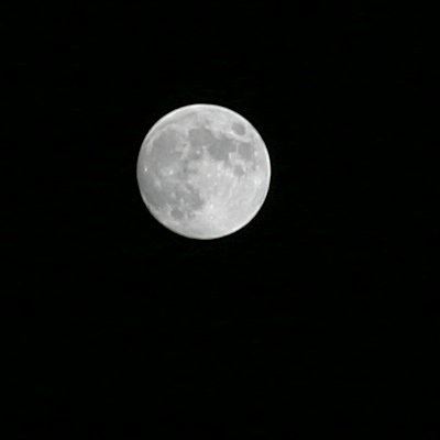 The moon, properly exposed this time. 100mm Lens, f11, 1/100 sec ISO 100.