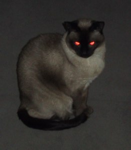 I am evil hear me meow