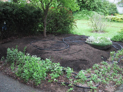 The Garden in front, after ripping out bushes and spreading a ton of compost.